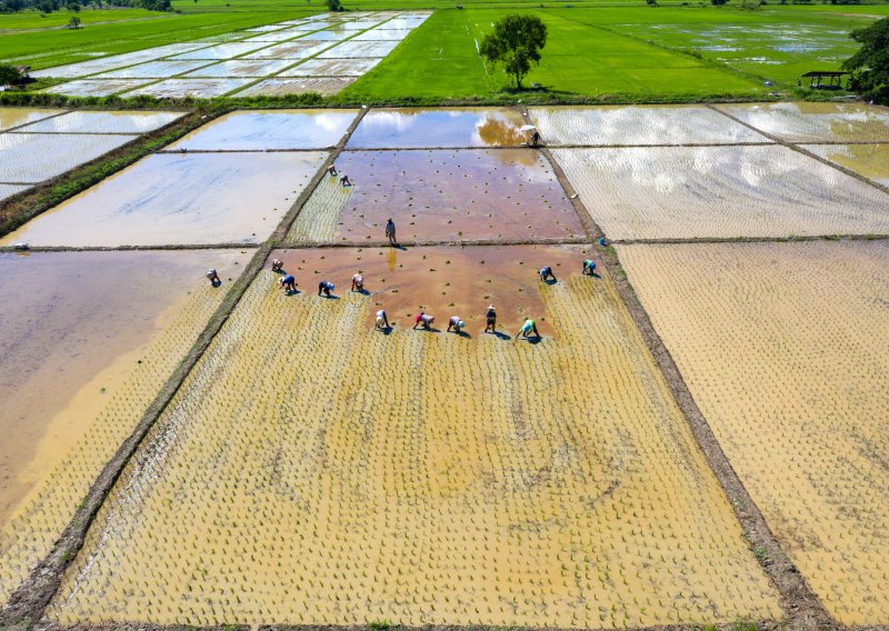 Rat na Bliskom istoku paralizirao azijskog prehrambenog diva: Nema ni nafte ni gnojiva