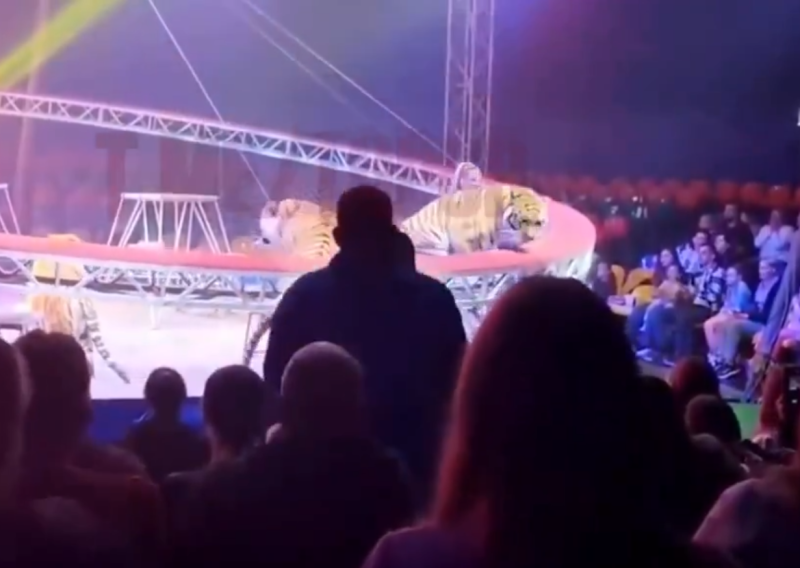 VIDEO Dramatične snimke iz Rusije: Tigar u cirkusu skočio među gledatelje