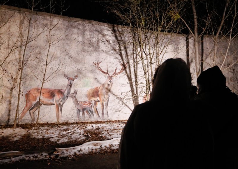 Bez ljudi, uz radijaciju: Priroda u Černobilu doživjela procvat