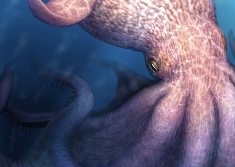 Divovske hobotnice duge 19 metara vladale su morskim dubinama prije 100 milijuna godina