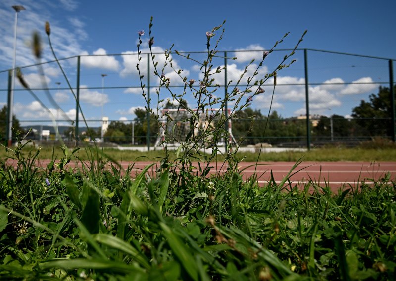 Krenuo pokositi travnjak pa ostao u šoku zbog onoga što je pronašao