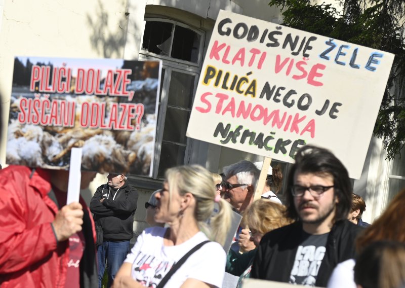 FOTO Sisak na nogama: Pogledajte transparente protiv megafarmi i klaonica pilića