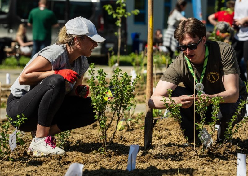 U Zaprešiću posađena nova i najveća hrvatska Crošnjica
