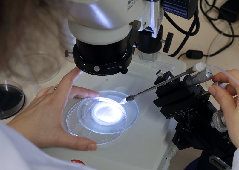 Znanstvenici IRB-a otkrili važnu stvar u prvim satima embrija: Pomoći će u istraživanju bolesti