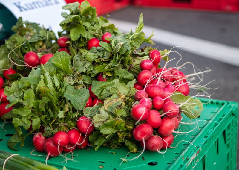 Državni inspektorat opozvao iz prodaje klice rotkvice: Došlo do bakterijske kontaminacije