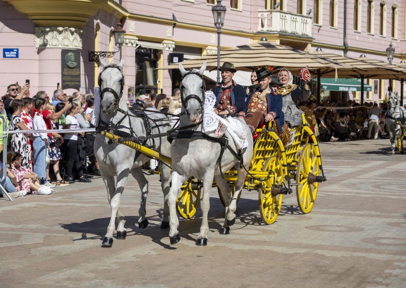 Most u centru Vinkovaca dobiva novo ime: Zvat će se po slavnoj brigadi