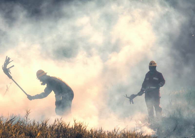 Planulo na Braču: Požar gase 33 vatrogasca