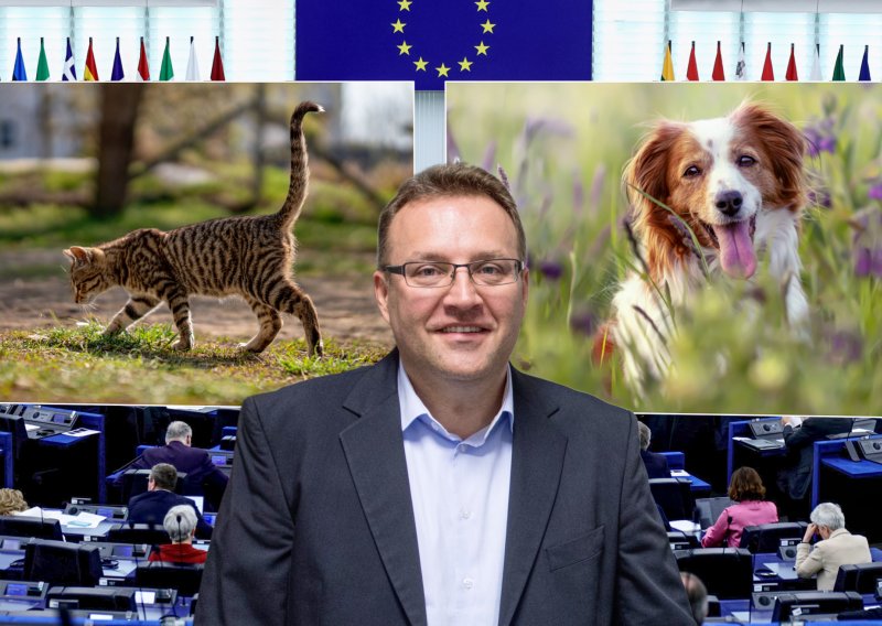 EU uvodi velika pravila za pse i mačke: Istražili smo što to znači za vlasnike
