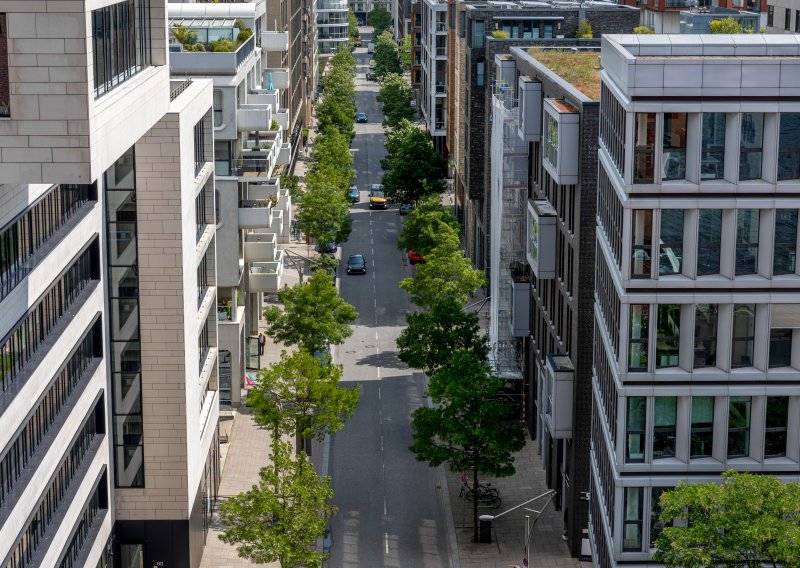Urbana stabla važnija su za hlađenje gradova nego što se dosad mislilo
