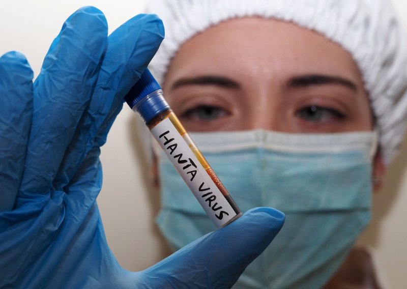 Hantavirus nije novi covid, ali istraživači vide zabrinjavajuću sličnost