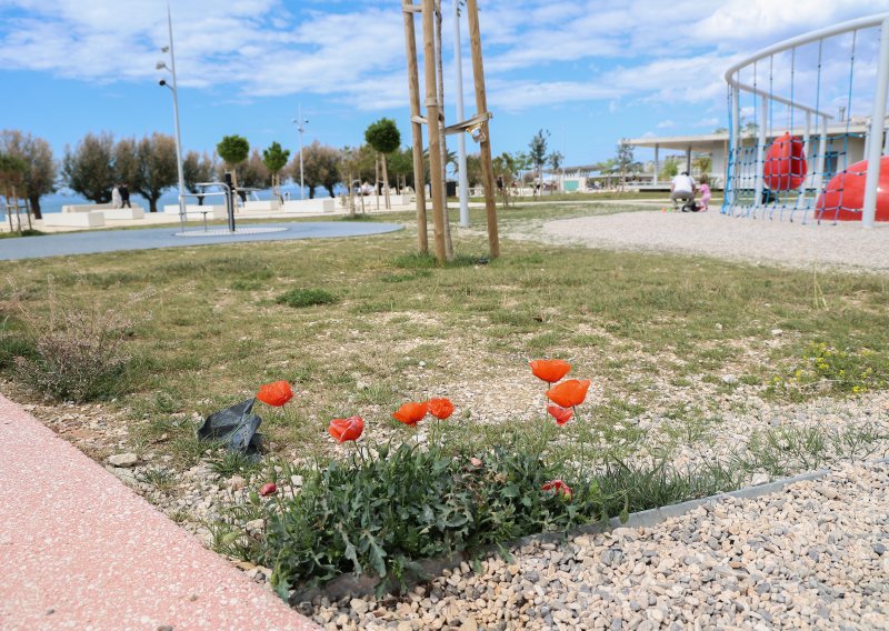 Zakuhalo u Splitu: Tko je kriv za sušenje trave na skupom 'zelenom' Žnjanu?