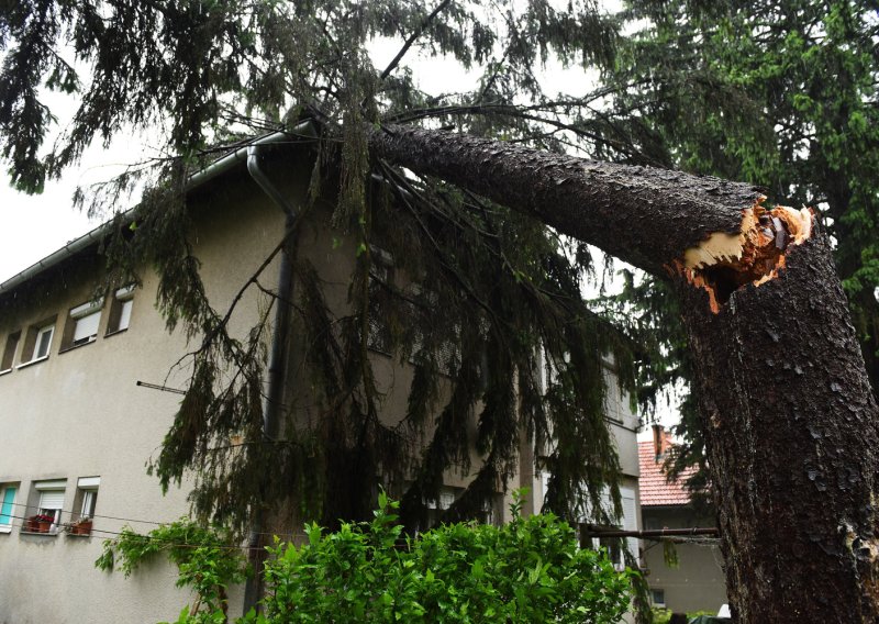 Nevrijeme napravilo kaos u Karlovcu: Stabla padala po kućama i autima, stradali i stupovi