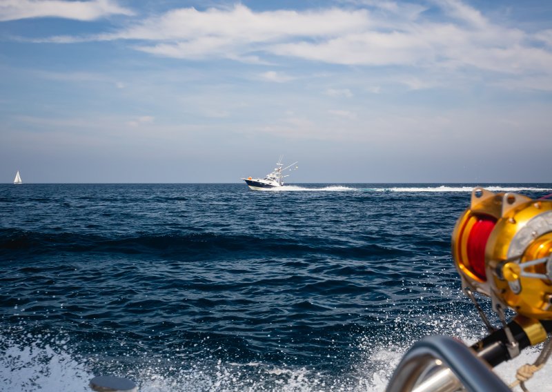 Mreža koja nadgleda svjetske oceane je u problemima: Njen gubitak mogao bi imati katastrofalne posljedice