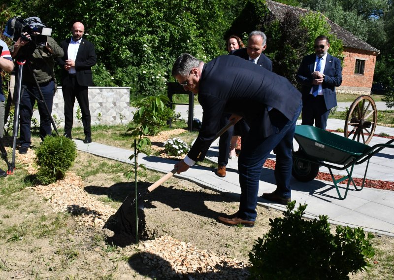 FOTO Milanović zasadio Stablo mira