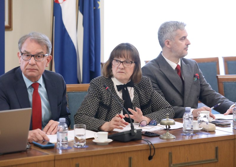 Odbor: Hrvatska nacionalna manjina u europskim državama nema prava koja treba