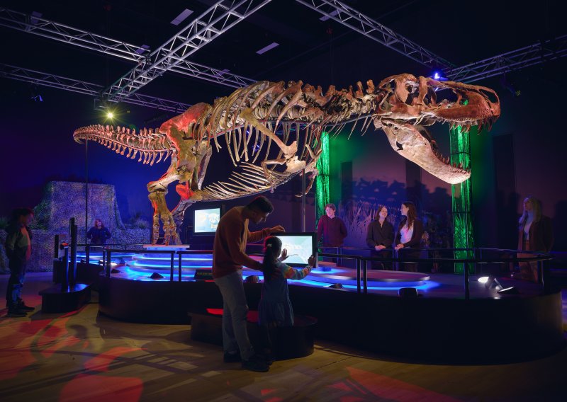 Misterij T-rexovih ruku: Znanstvenici otkrili zašto su strašni predatori žrtvovali udove zbog moćne glave