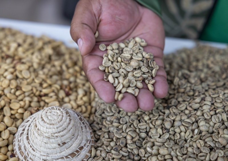 Padaju prihodi velikom izvozniku kave: Cijene sve niže na svjetskim tržištima