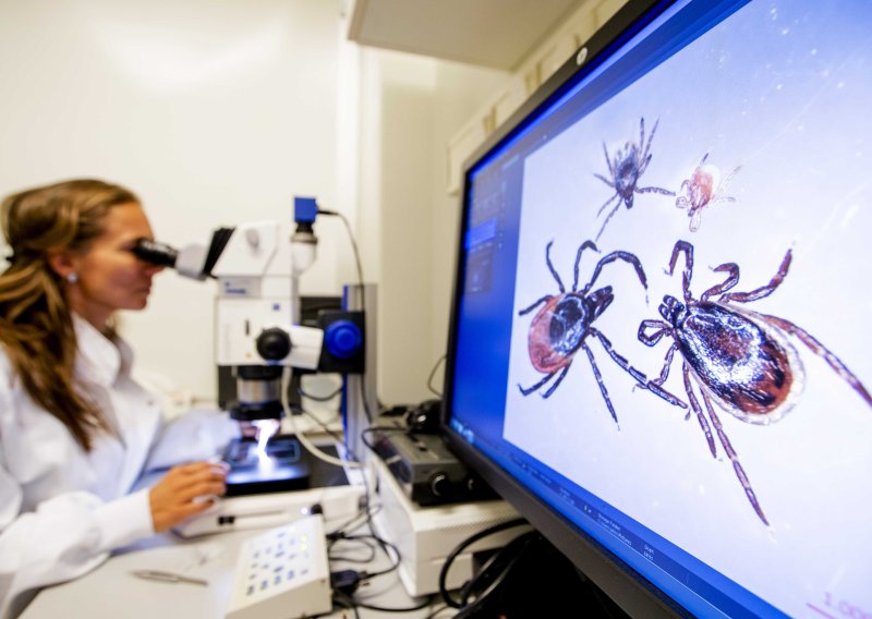 U našem susjedstvu otkriven novi virus: Pronađeni tragovi infekcije kod ljudi