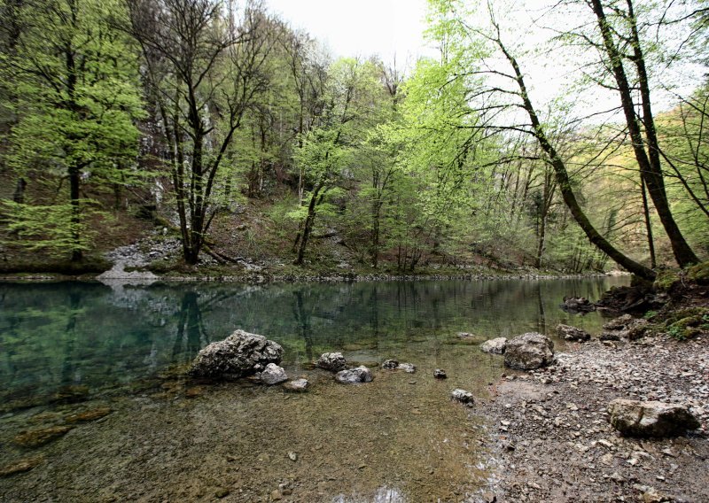 Polovica hrvatskih građana ne zna da su šume rješenje za klimatske promjene