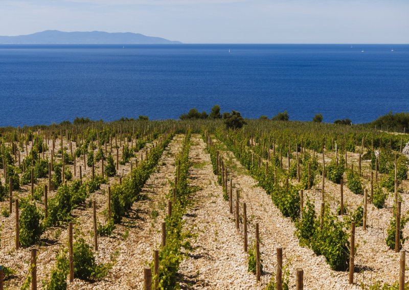 Hrvatska slavi platinu na Decanteru: Dalmatinska vinarija Markus s Pepejuhom osvojila svjetski vrh