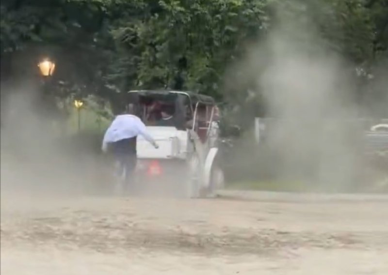 Konj se oteo i pojurio parkom: Mladi turist ispao iz kočije i poginuo