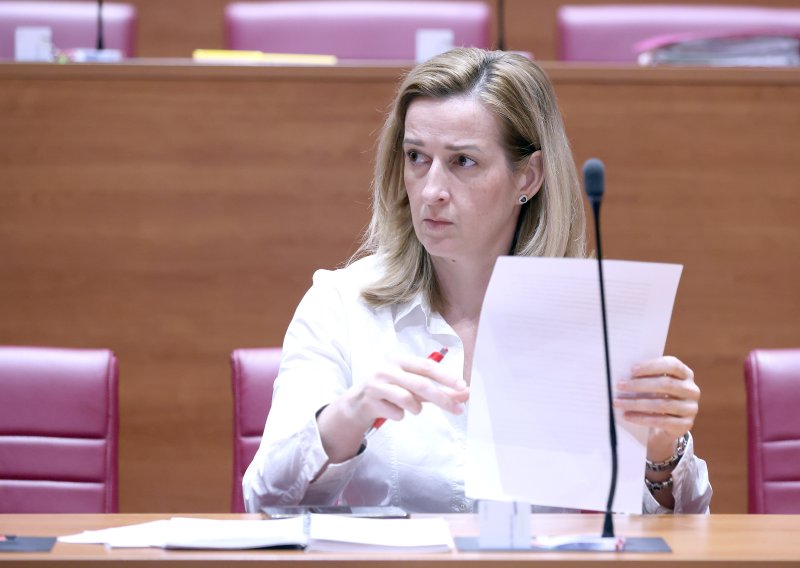 Ahmetović o slučaju švicarac: Zaštitili bi građane kao 2015. godine