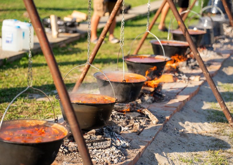 Dunav fest vraća Vukovar na rijeku: tri dana bogatog programa, vrhunac Fišijada
