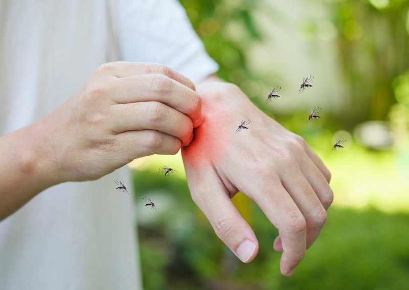 Neugodan virus ruši rekorde po Europi: Pojavio se u državama gdje ga dosad nije bilo
