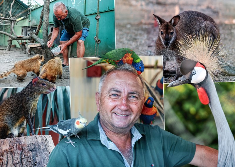 'Slavonski Dr. Dolittle' spasio je stotine životinja, od orlova do tigrova: 'Najteže ih je pustiti natrag u prirodu'