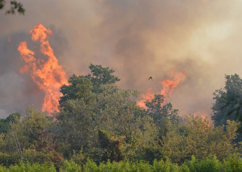 Francuska se suočava s najvećim požarima od Drugog svjetskog rata