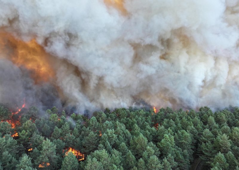 Ogromni požar guta šumu nedaleko od Pariza: Prvi put dignuti kanaderi, vatra stigla do kuća