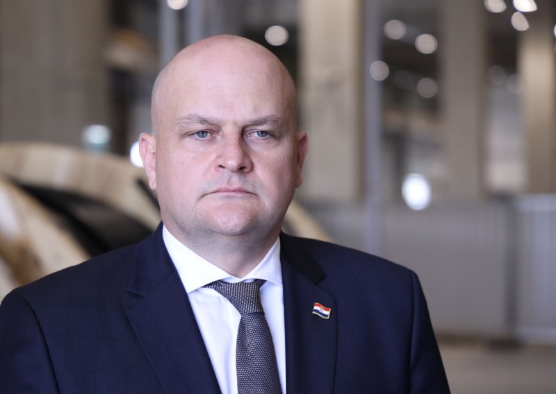 Šušnjar o DP-ovoj rezoluciji za BiH: Potreban veći iskorak