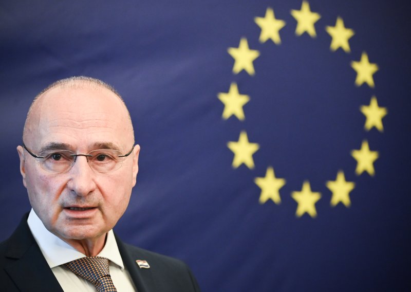Grlić Radman: 'Irska će tijekom predsjedanja imati konstruktivnog i pouzdanog partnera'