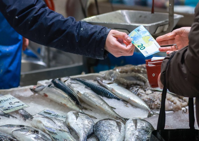 Širi se panika, raste zabrinutost: Ukida li zbilja Europa gotovinu?