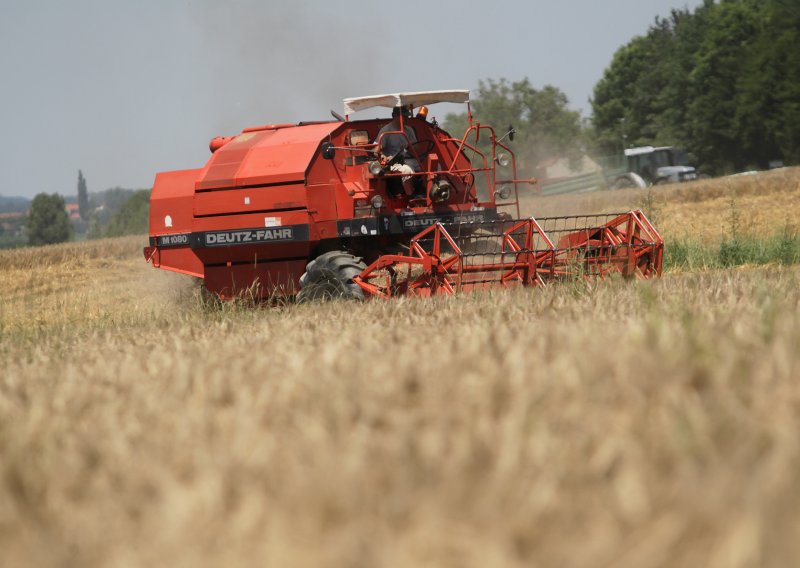 Podravka Agri završila žetvu ječma s rekordnim prinosima