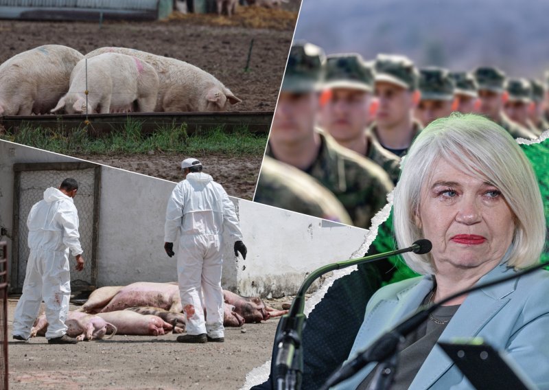 Kuga kosi sve pred sobom, na rubu smo vojne intervencije: Hoće li svinjetina poskupjeti?