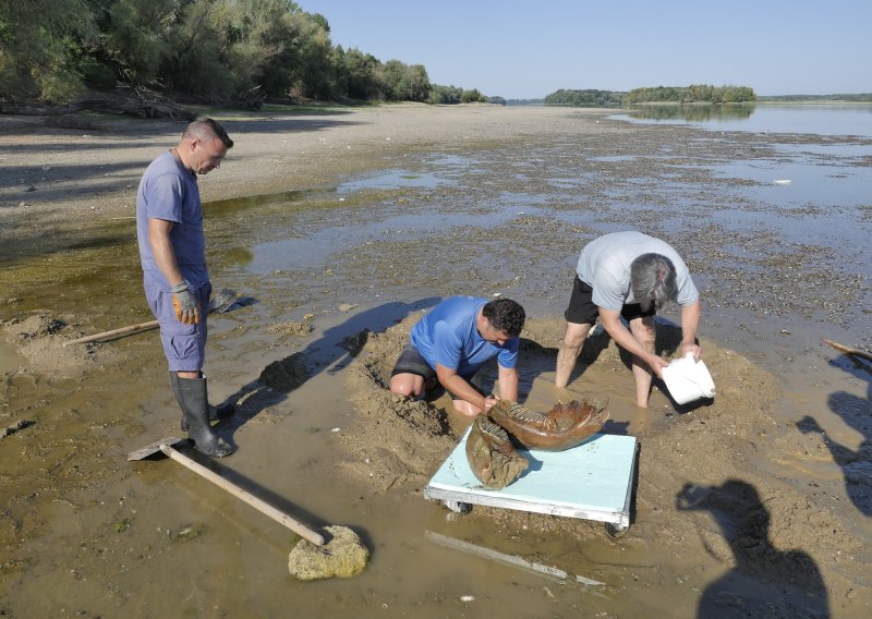 Gdje Dunav (ne) ljubi nebo: Što je sve rekordna suša izvukla na površinu