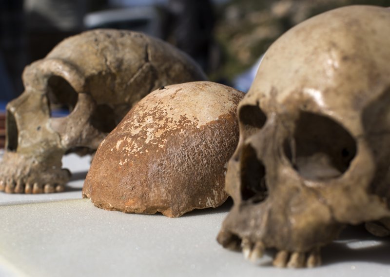 Neandertalci nisu bili jedini: U DNK-u modernih ljudi pronađeni tragovi dvaju nepoznatih predaka