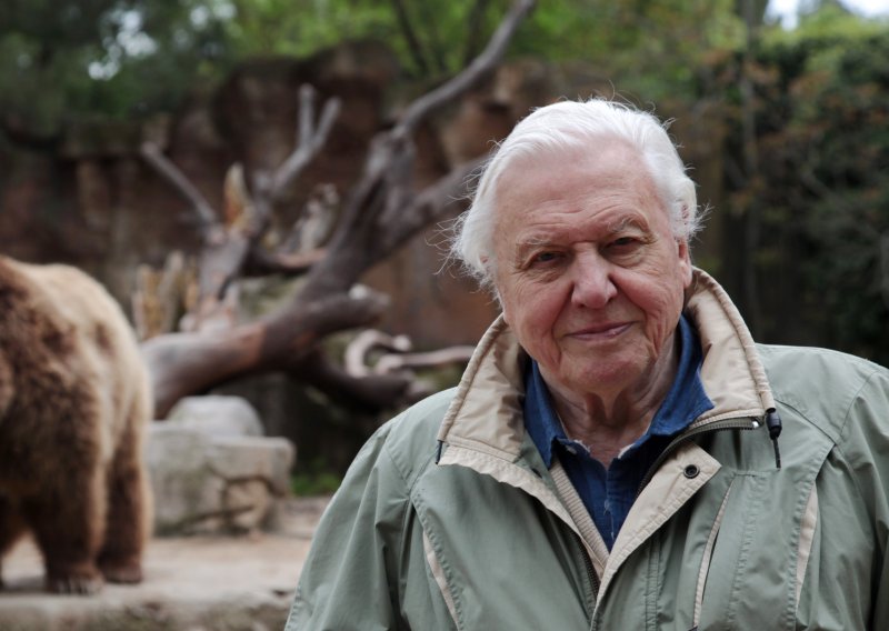 Od zaleđenih žaba do surove Amazone: BBC Earth u kolovozu donosi dokumentarce koji će vas prikovati uz ekrane