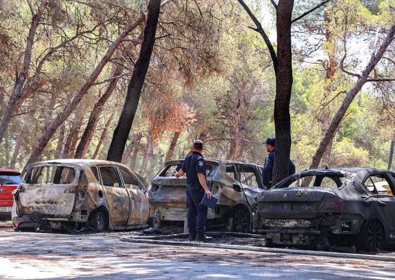 Pored poznatog hotela izbio požar: Izgorjelo nekoliko automobila i borova šuma