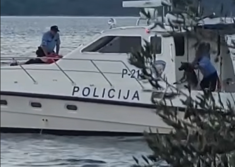 Policajac bacio psa u more!? Oglasio se MUP: 'Pustili smo ga'