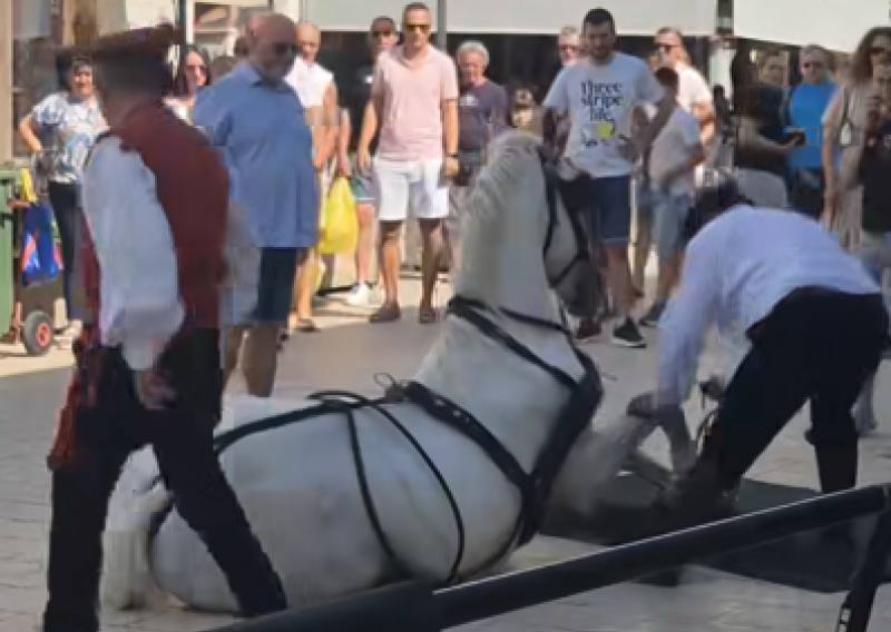 Mučne scene u Sinju: Konji popadali na sliskim kamenim ulicama, snimke se šire mrežama