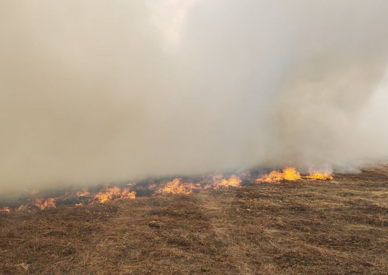 FOTO Gori kod Lučkog: Gusta dimna zavjesa nadvila se nad autocestom