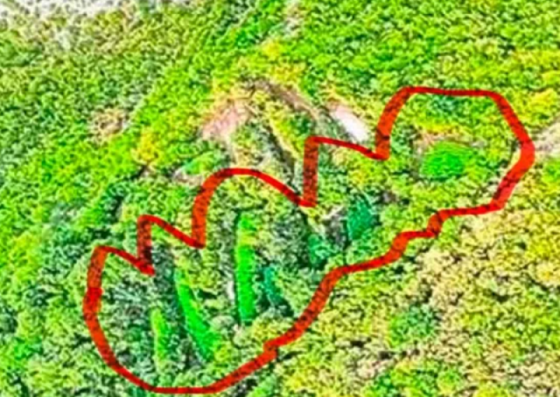 Otkrivene ogromne plantaže kanabisa u Hercegovini: Pogled iz zraka otkriva razmjere