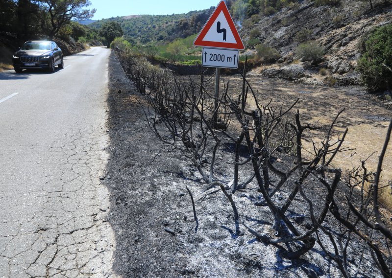 Požar kod Škrljeva pod nadzorom, vatrogasci ostaju na terenu do jutra