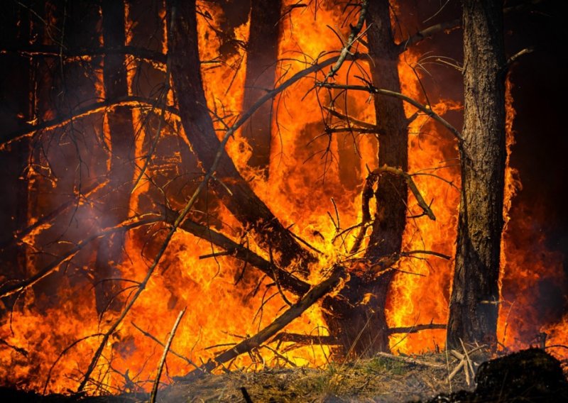 Požari teroriziraju i Francusku i Njemačku: Pokrenuli velike evakuacije