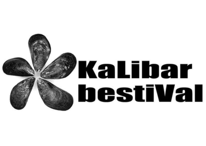 Knjiške i glazbene zvijezde na festivalu u Zadru