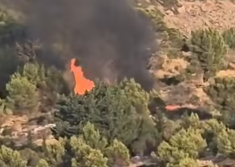 VIDEO Planulo iznad Dubrovnika, vatrogasci su na terenu
