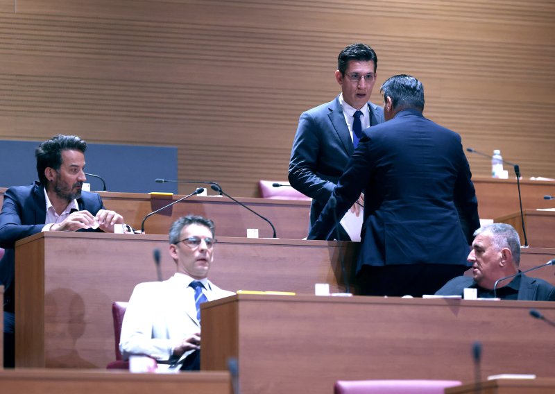 Burno na početku sjednice, čeka se glasanje: 'Sve što se događa u Saboru je čista farsa'