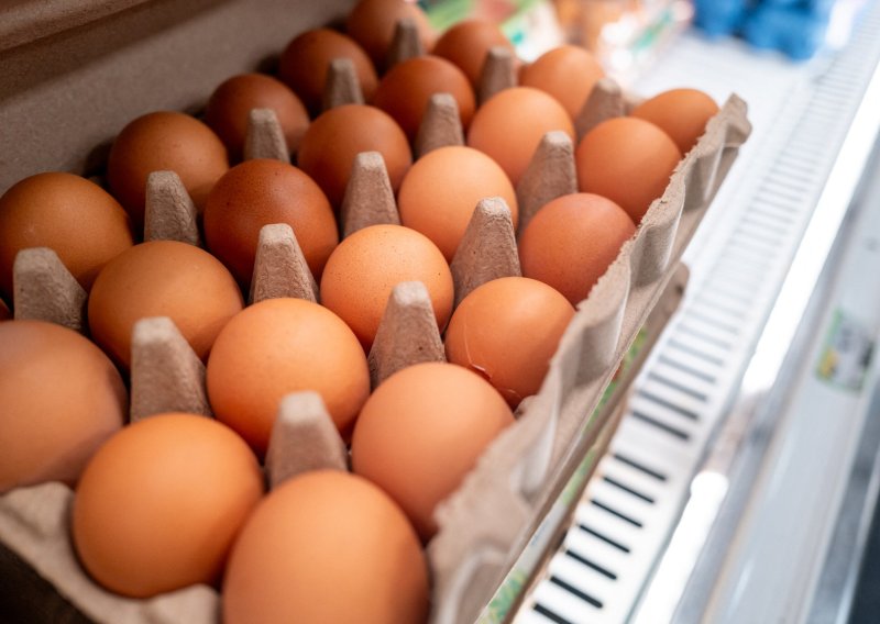 Za sve su kriva jaja: Više od 300 ljudi u Belgiji zarazilo se salmonelom